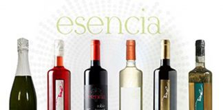 Grupo Cooperativo Montes Norte se marca como objetivo la internacionalización