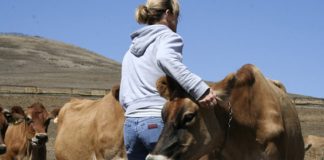 Unión de Mujeres Agricultoras y Ganaderas celebra su VI Encuentro
