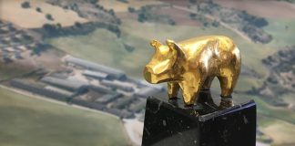 Tres granjas de Castilla-La Mancha optan a cuatro nominaciones ‘Premios Porc d’Or’