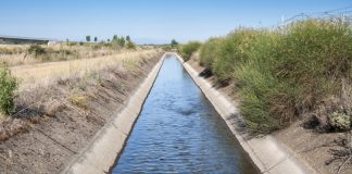 Los regantes consideran “alarmista” la propuesta de Greenpeace para reducir los regadíos regadio