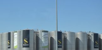 Montes Norte quiere consolidar bodega Daimiel para 20 millones de kilos