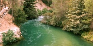 Gran inversión en cuenca del Segura para ofrecer información en tiempo real