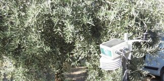 Dcoop participa en el proyecto Sensolive Oil