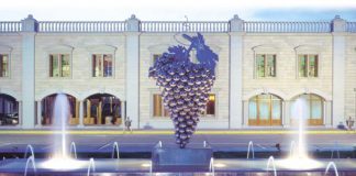 Conozca los precios de la uva de Vinícola de Castilla (Manzanares)