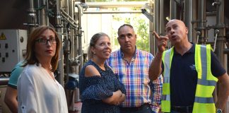 Vinícola de Tomelloso recogerá unos 14,5 millones de kilos de uva