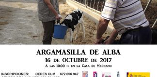Jornada sobre titularidad compartida en Argamasilla de Alba
