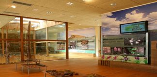 Escolares de Guadalajara explorarán los espacios naturales de su provincia