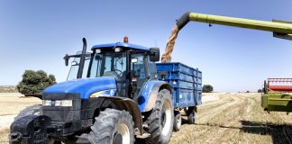 Destaca la tendencia alcista del mercado de los cereales Cereales