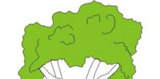 AFAMMER celebrará Día Internacional contra la Violencia de Género con escolares