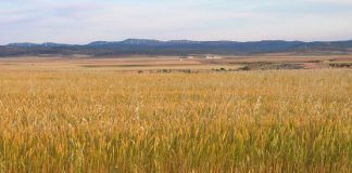 Abierto oficialmente el plazo de la PAC 2019, que se puede solicitar hasta el 30 de abril