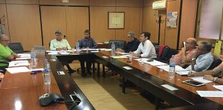 Estiman reducción del 36% en cosecha de aceituna en Castilla-La Mancha