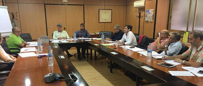 Sectorial Aceite de Oliva en Madrid (3 de octubre)