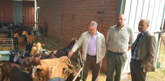 31% de jóvenes incorporados agricultura y ganadería en Toledo son de comarca Talavera