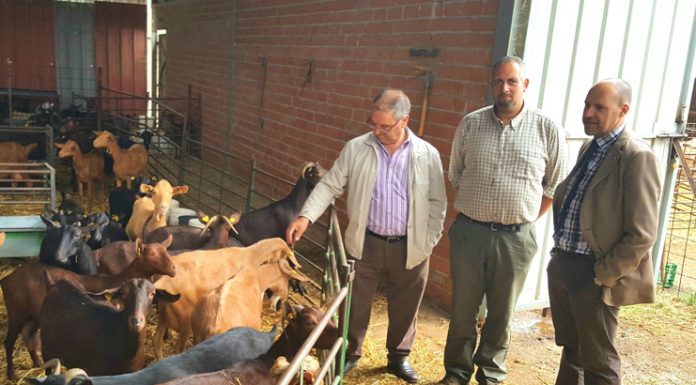 31% de jóvenes incorporados agricultura y ganadería en Toledo son de comarca Talavera