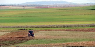Tendencia alcista del mercado de los cereales campo cereales