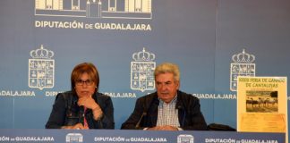 Cantalojas (Guadalajara) celebra este jueves su XXXIII Feria de Ganado