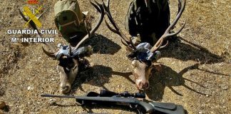 Detienen a dos personas e investigan a otras dos por caza furtiva