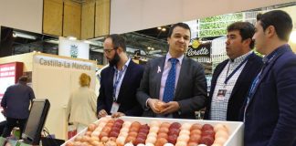 Pide un centro de exportaciones de productos hortícolas en Castilla-La Mancha