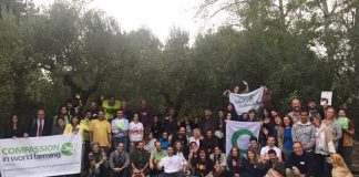 Stop Macrogranjas se suma al resto de movimientos contra granjas intensivas