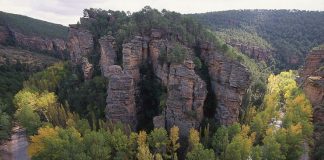 893.000 euros para Plan de Mejoras de Montes 2020 en Guadalajara