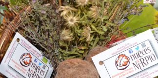 La cantante albaceteña Rozalén será embajadora de la Nuez de Nerpio