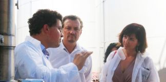 Ciudadanos demanda medidas para evitar enfrentamientos entre productos y comercializadores de uva