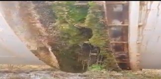 Video: El trasvase Tajo-Segura y sus «PÉRDIDAS» (Río Tajo Vivo)