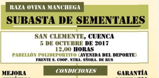 AGRAMA celebra su última subasta de sementales del año en San Clemente