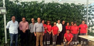 Forman a 20 alumnos en producción de vino, champiñón y hortícolas