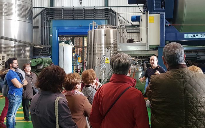 visita socuellamos bodega hermanos delgado