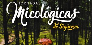 II Jornadas Micológicas en Sigüenza, en noviembre y diciembre