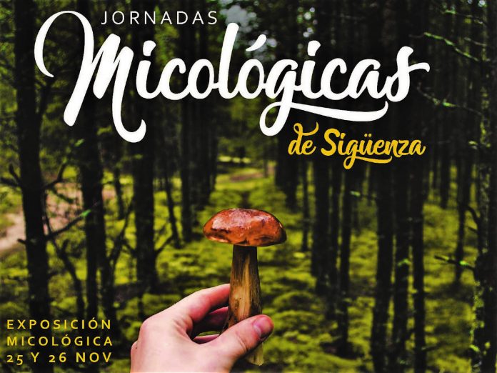 JORNADAS MICOLOGICAS 2