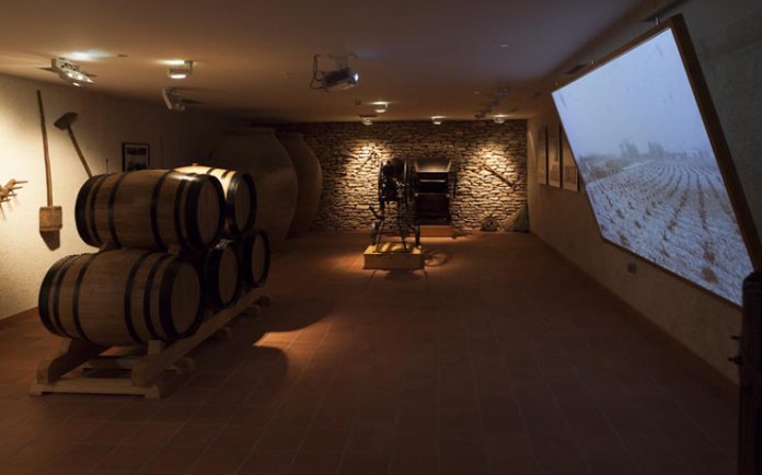 Museo Torre del Vino