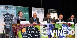 Ponen de manifiesto oportunidades del sector vitivinícola regional en mercados internacionales