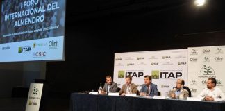 El almendro, un cultivo en auge que necesita agua