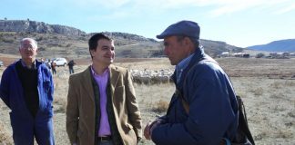 Un millón de euros de ayuda a ganaderos de extensivo, a través de la línea ‘oveja bombera’