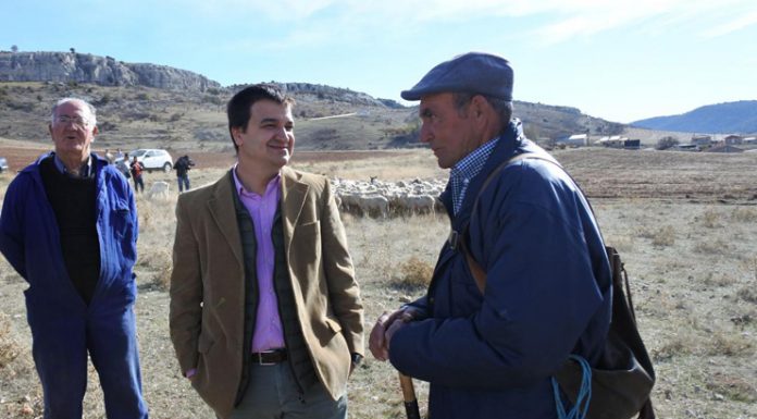 Un millón de euros de ayuda a ganaderos de extensivo, a través de la línea ‘oveja bombera’