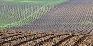 Abonado anticipo PAC a agricultores y ganaderos de Castilla-La Mancha