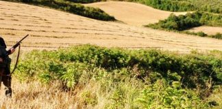 RFEC pide al SEPRONA que investigue aparición cadáveres perros en Tarancón