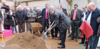 Continúa la reintroducción de olmo en la provincia de Toledo