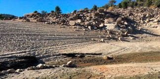La sequía pasa factura. Julio Barea, responsable de Aguas de Greenpeace