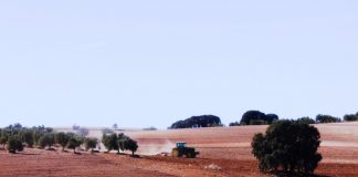 ASAJA Cuenca: Ahora es mas necesario que nunca contratar seguro agrario