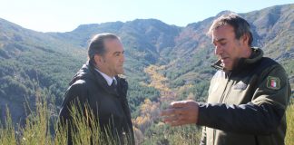 Inclusión Hayedo Tejera Negra en Patrimonio Unesco, una oportunidad para turismo