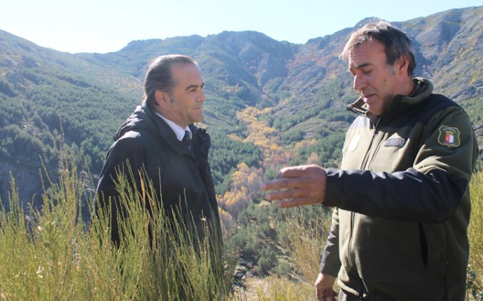 gregorio_hayedotejeranegra