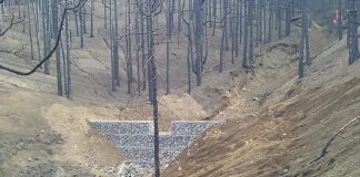 Comienzan obras de restauración en zona afectada por incendio en Campillo de Altobuey