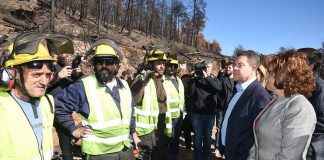 Trabajos de recuperación tras el incendio de Yeste, a buen ritmo