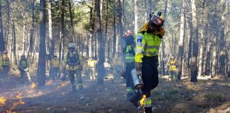 Vídeo. Bombero indignado ante las políticas de prevención de incendios forestales bomberos