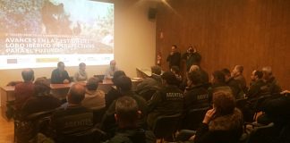 Prevén pagar todas las solicitudes de ayudas por ataques lobos