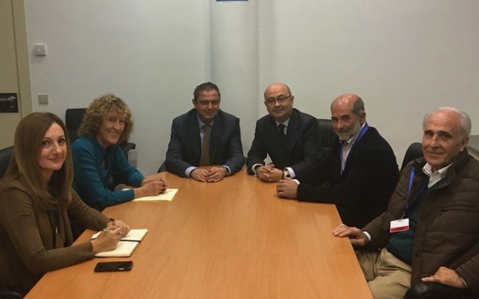 martin-toledano gasset