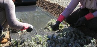 Fademur pide «urgencia» al implantar Pacto de Estado contra violencia género